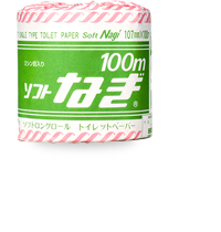 ソフトなぎ　1R/シングル　100m